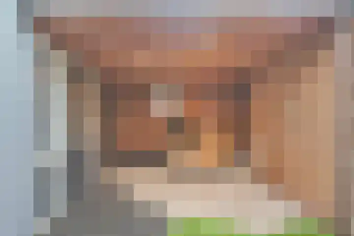 Kuntzestraat 3 Nunspeet thumbnail 36