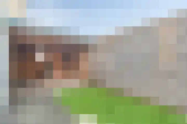 Kuntzestraat 3 Nunspeet thumbnail 37