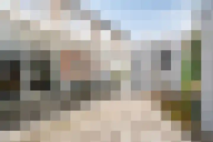 Kuntzestraat 3 Nunspeet thumbnail 39