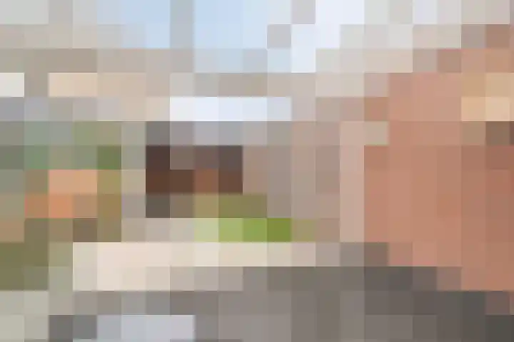 Kuntzestraat 3 Nunspeet thumbnail 42