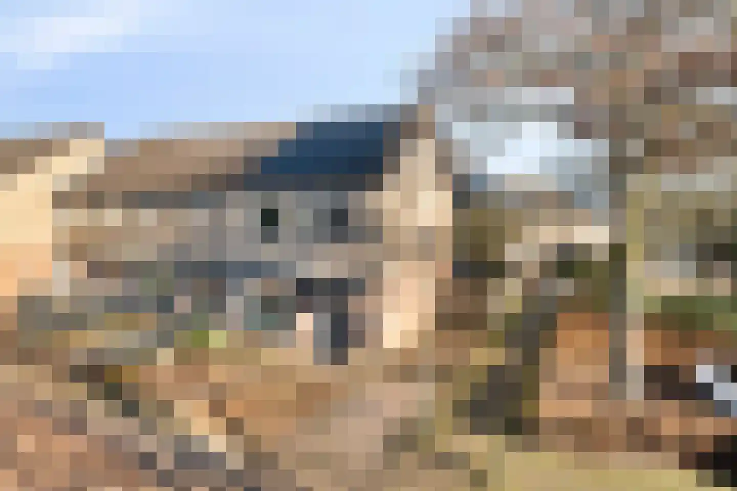 Kuntzestraat 30 Nunspeet thumbnail 6