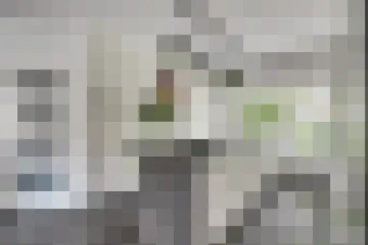 Kuntzestraat 48 Nunspeet thumbnail 10