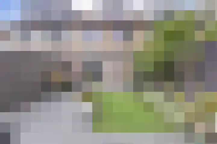 Kuntzestraat 48 Nunspeet thumbnail 31