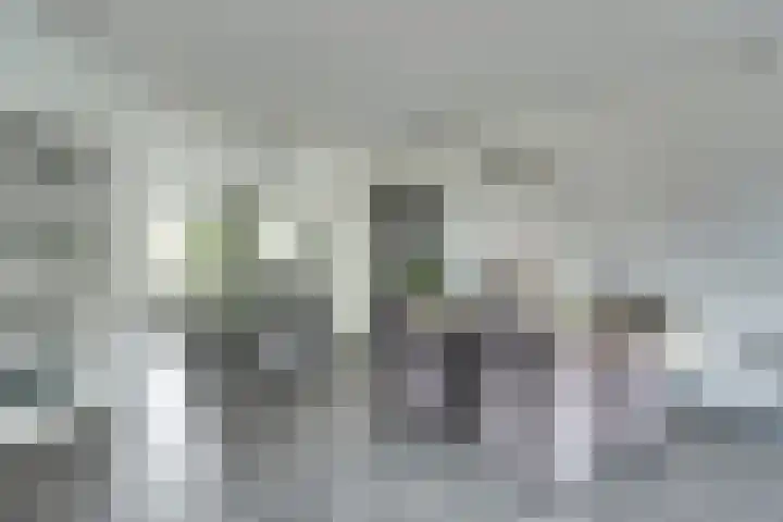 Kuntzestraat 48 Nunspeet thumbnail 8