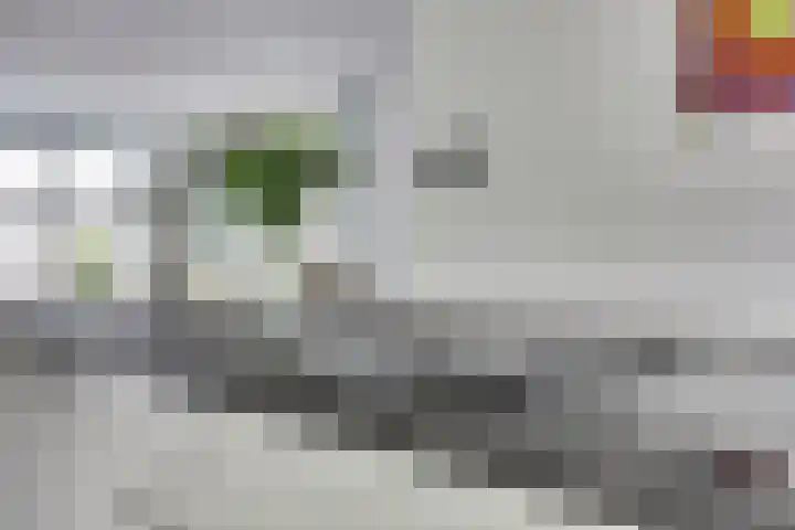 Kuntzestraat 48 Nunspeet thumbnail 9