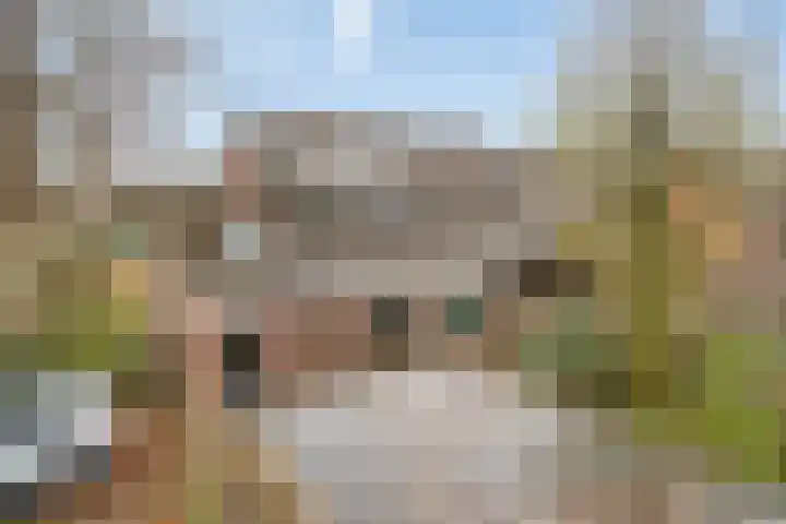 Kuntzestraat 52 Nunspeet thumbnail 31
