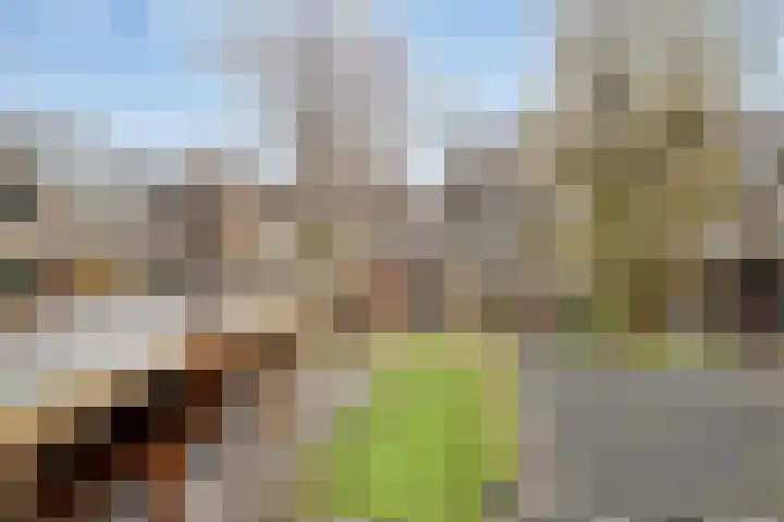 Kuntzestraat 52 Nunspeet thumbnail 32