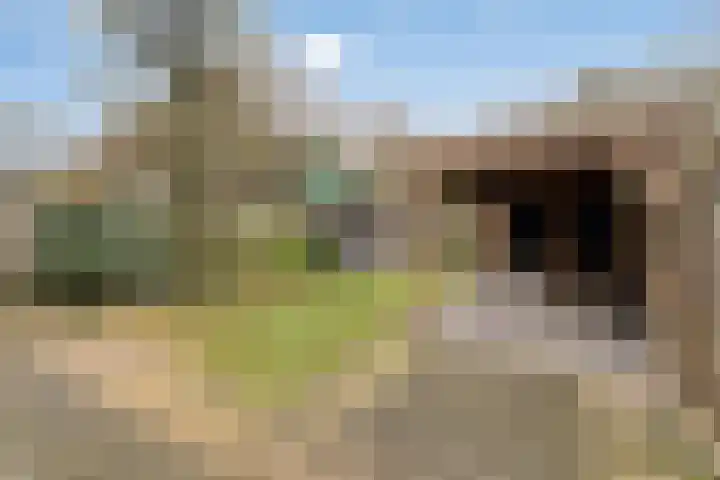 Kuntzestraat 52 Nunspeet thumbnail 33