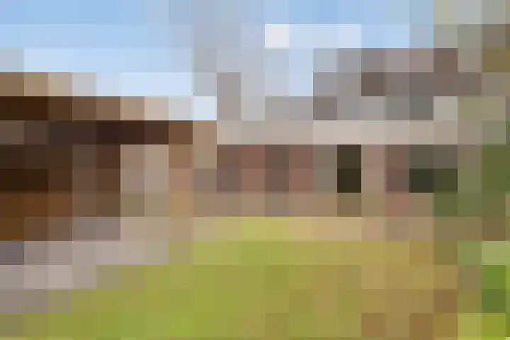 Kuntzestraat 52 Nunspeet thumbnail 38