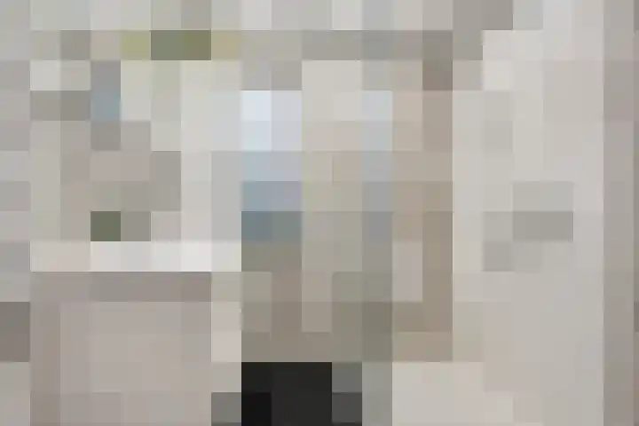 Kuntzestraat 52 Nunspeet thumbnail 4