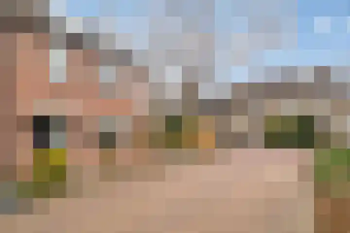 Kuntzestraat 52 Nunspeet thumbnail 40