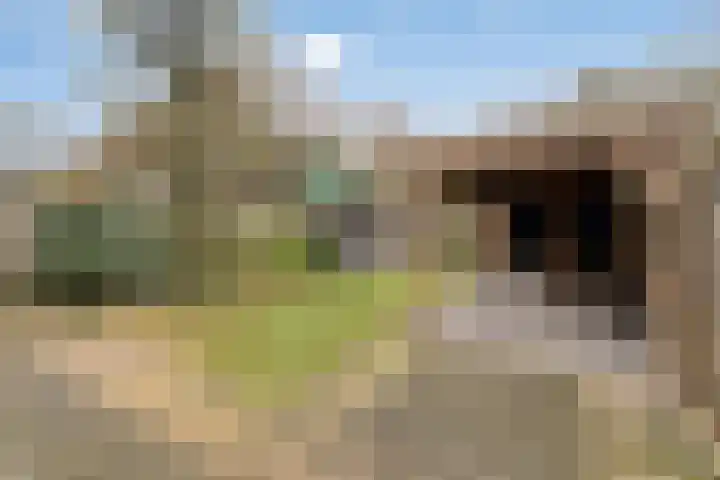 Kuntzestraat 52 Nunspeet thumbnail 5