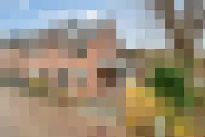 Kuntzestraat 52 Nunspeet thumbnail 7