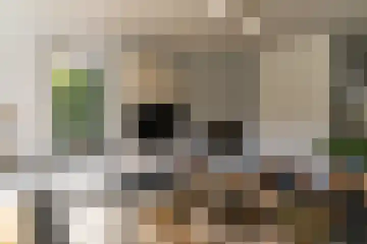 Kuntzestraat 69 Nunspeet thumbnail 15