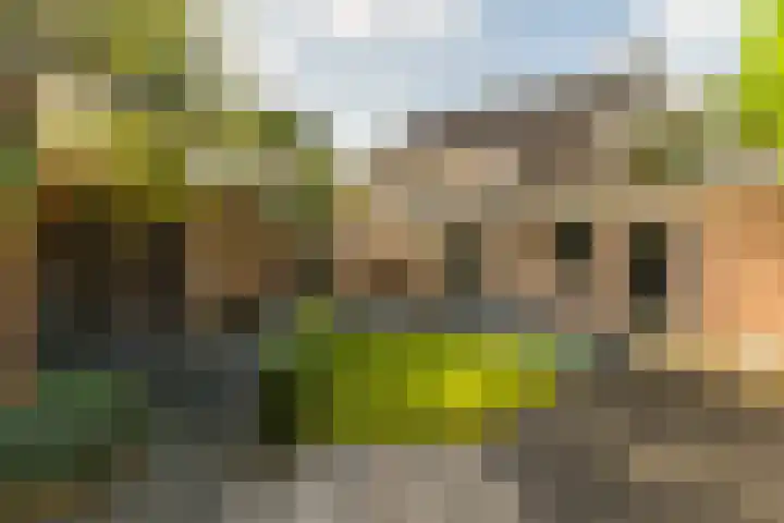 Kuntzestraat 69 Nunspeet thumbnail 4