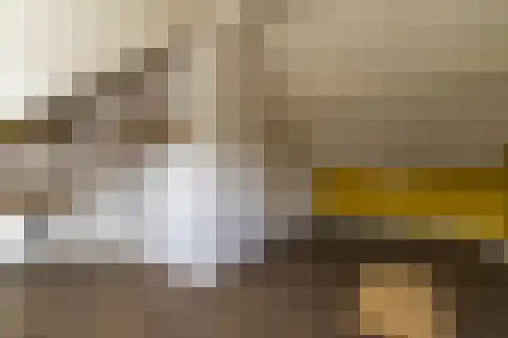Kuntzestraat 69 Nunspeet thumbnail 46