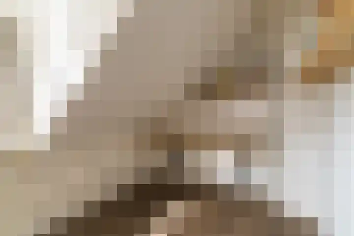Kuntzestraat 69 Nunspeet thumbnail 47