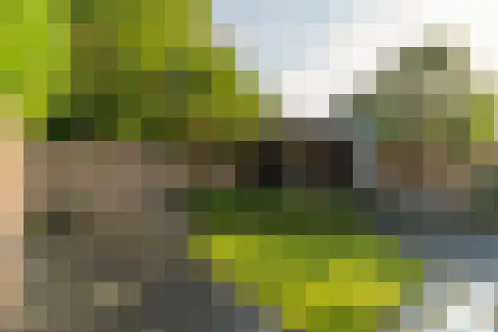 Kuntzestraat 69 Nunspeet thumbnail 49