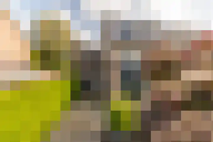 Kuntzestraat 69 Nunspeet thumbnail 5