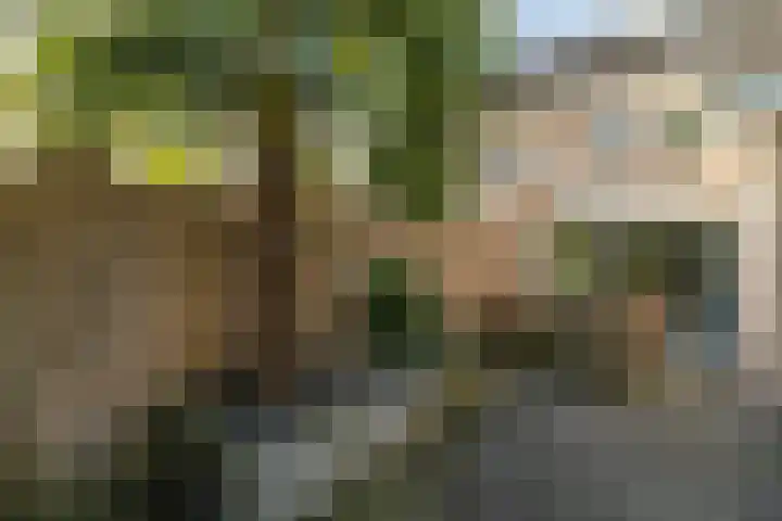 Kuntzestraat 69 Nunspeet thumbnail 51