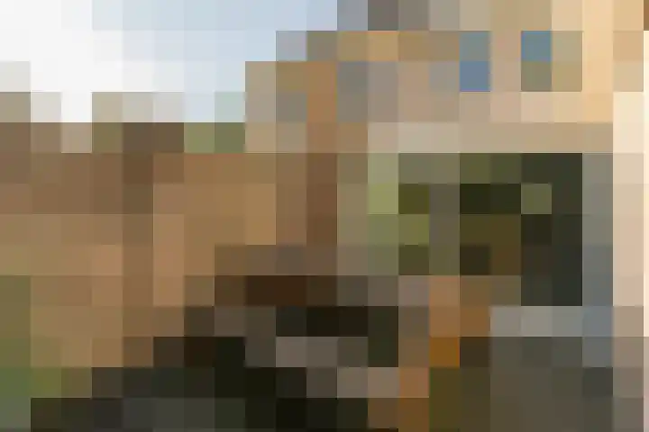 Kuntzestraat 69 Nunspeet thumbnail 53