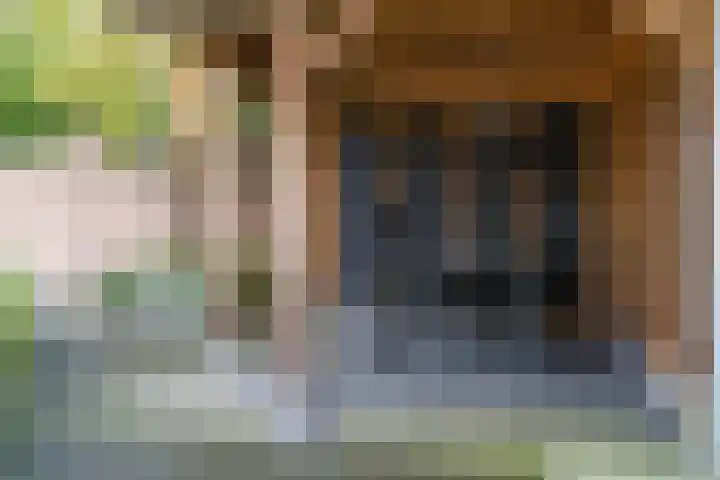 Kuntzestraat 69 Nunspeet thumbnail 55