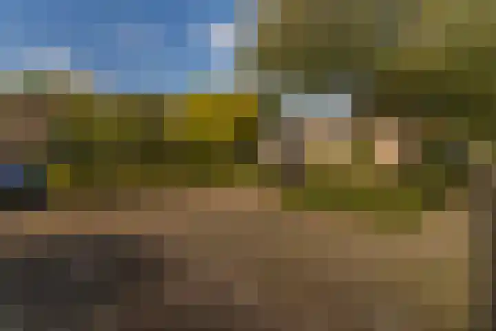 Kuntzestraat 69 Nunspeet thumbnail 57