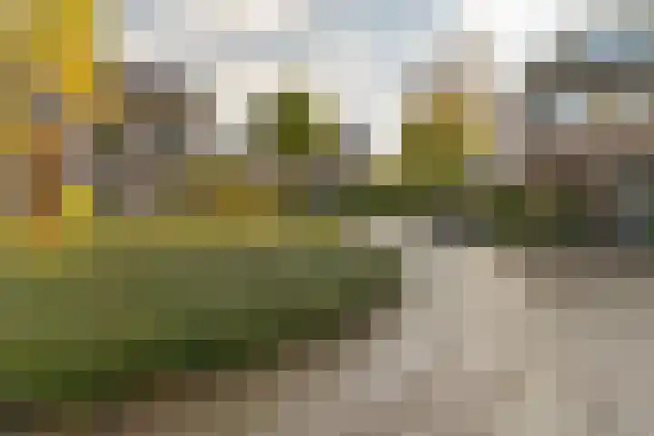 Kuntzestraat 69 Nunspeet thumbnail 58