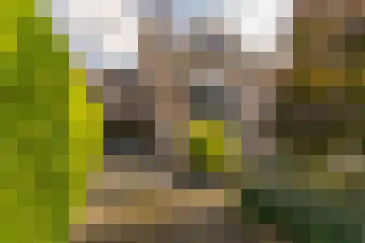 Kuntzestraat 69 Nunspeet thumbnail 6