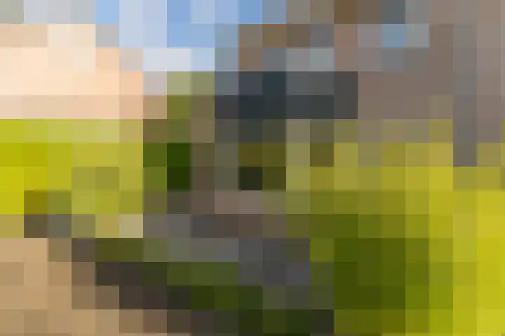 Kuntzestraat 69 Nunspeet thumbnail 8