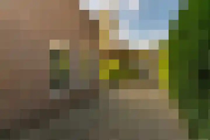 Kuntzestraat 69 Nunspeet thumbnail 9