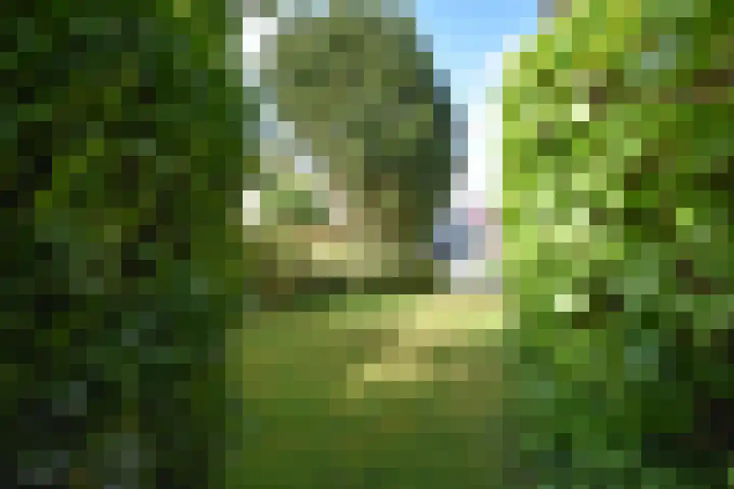 Kuormakkersstrjitte 25 Burgum thumbnail 13