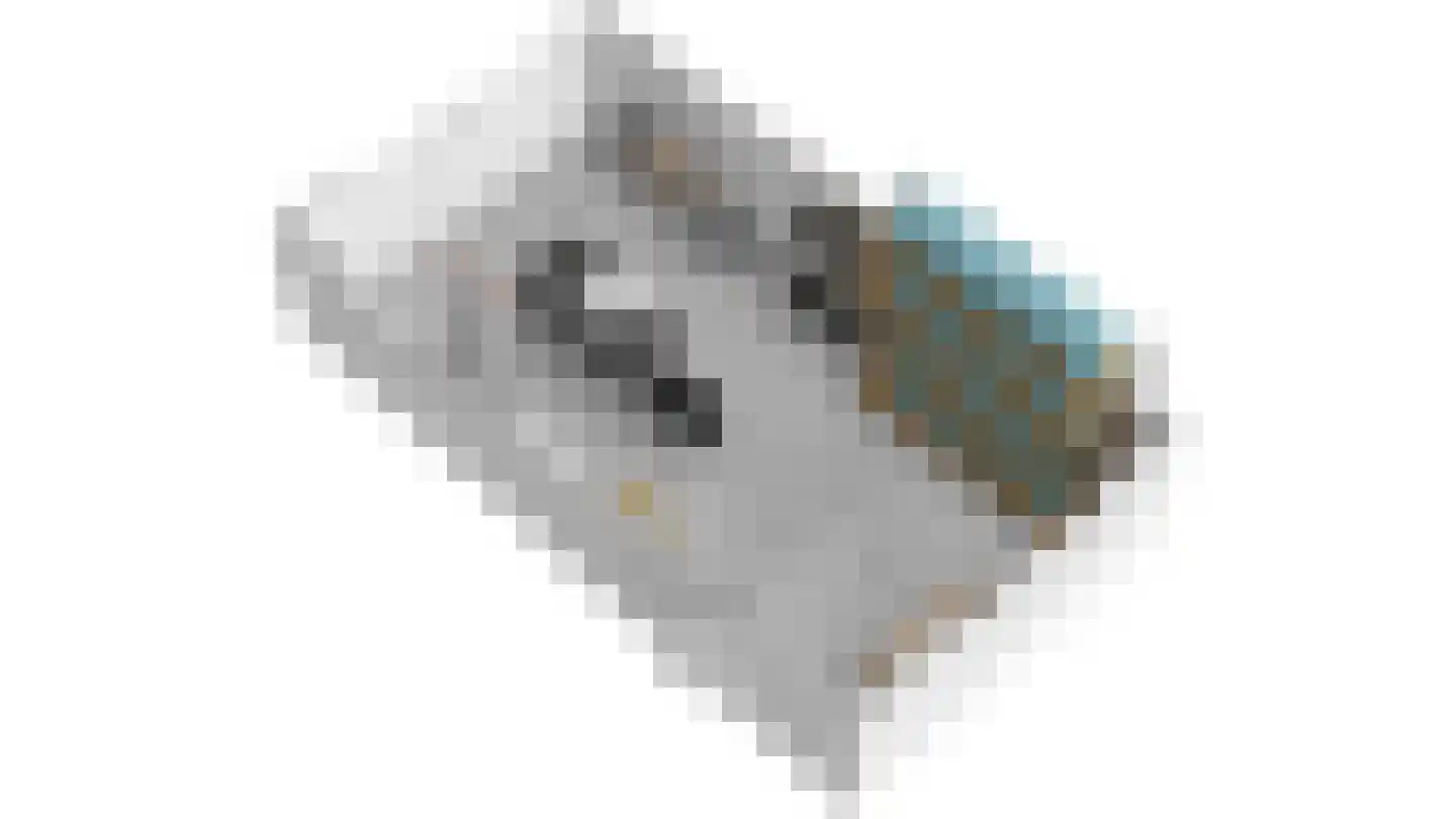 Kuormakkersstrjitte 25 Burgum thumbnail 44