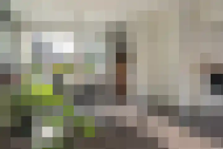 Kûperij 17 Gorredijk thumbnail 10