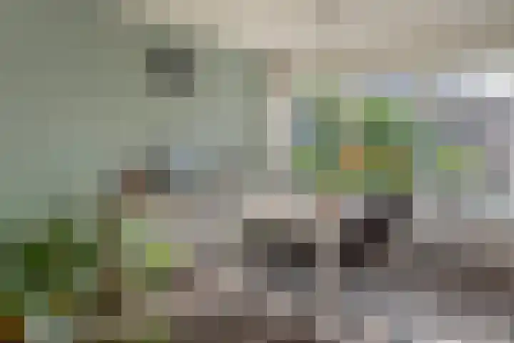 Kûperij 17 Gorredijk thumbnail 13