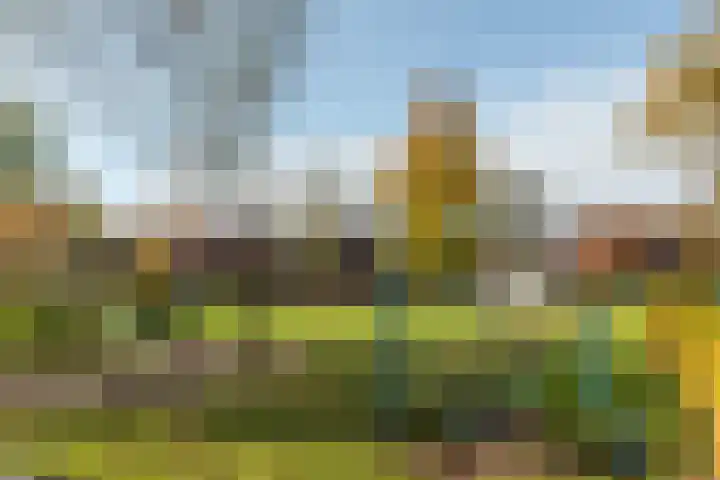 Kûperij 17 Gorredijk thumbnail 36