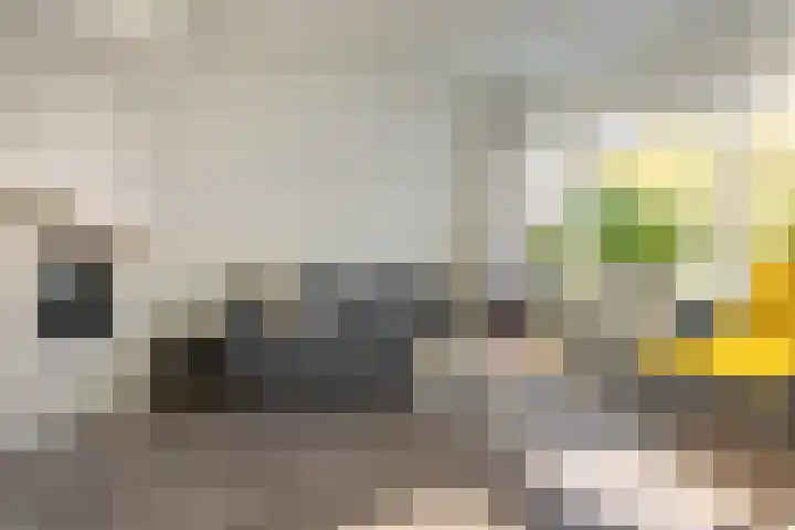 Kûperij 17 Gorredijk thumbnail 5