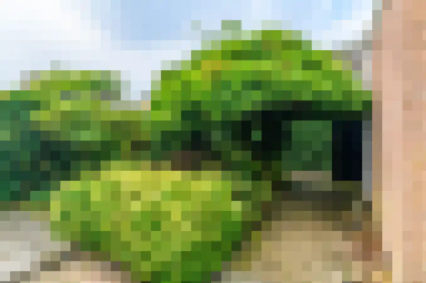 Kûperij 24 Gorredijk thumbnail 19