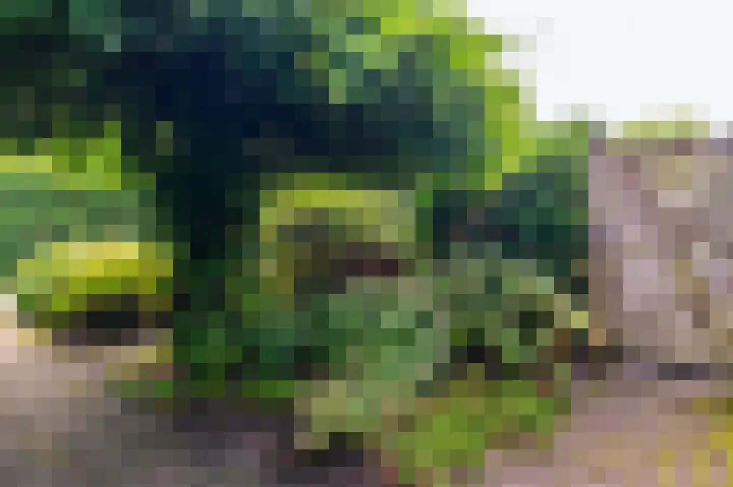 Kûperij 24 Gorredijk thumbnail 20