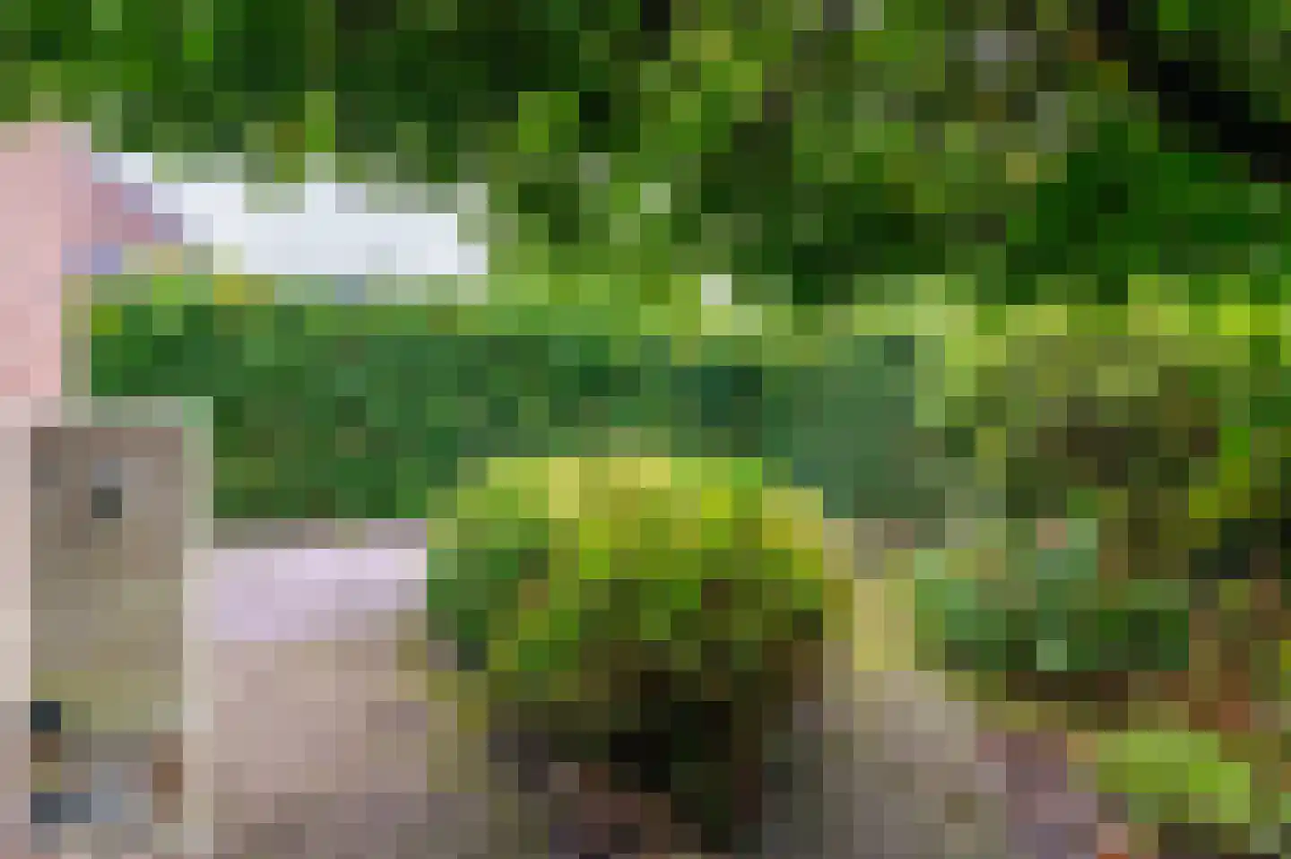 Kûperij 24 Gorredijk thumbnail 22