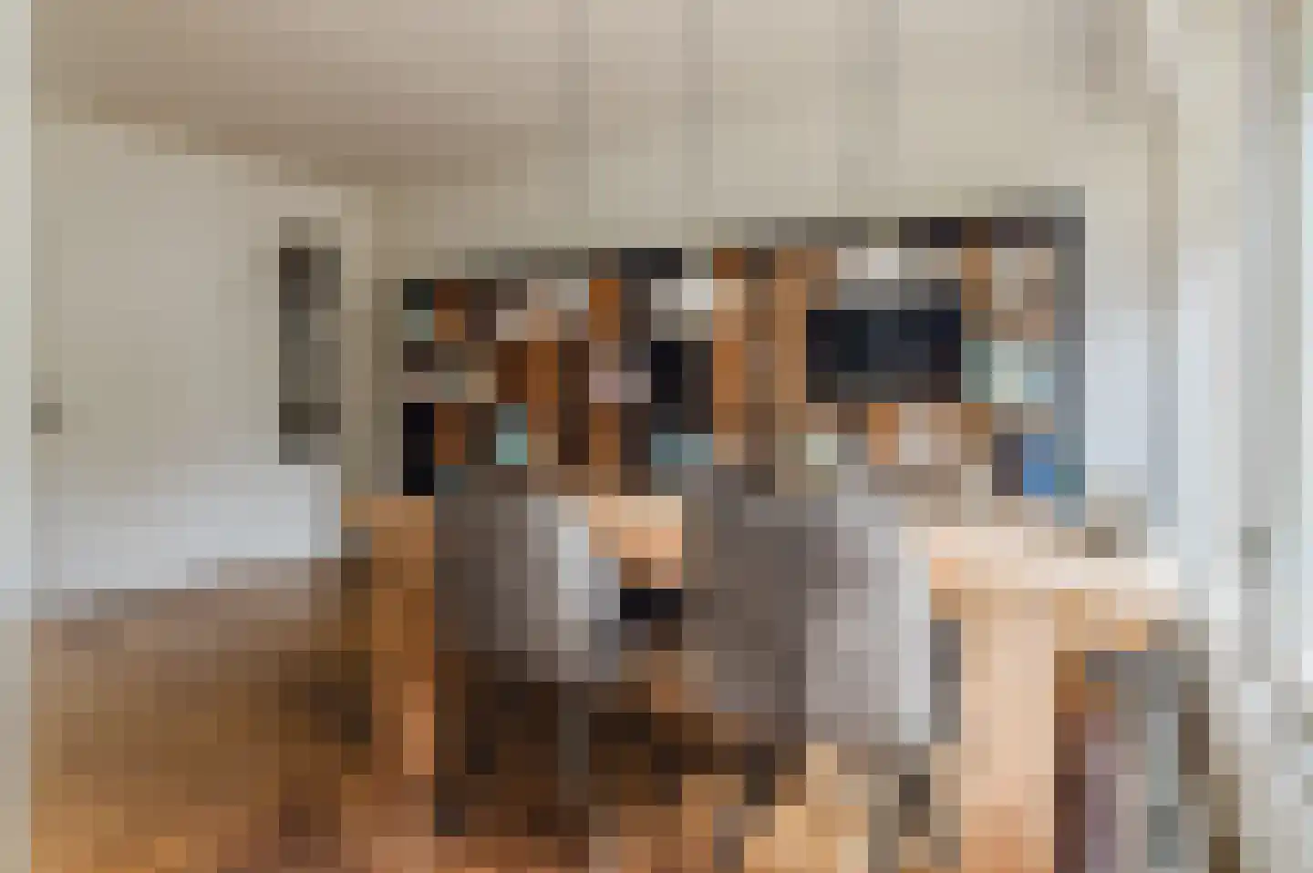 Kûperij 24 Gorredijk thumbnail 34