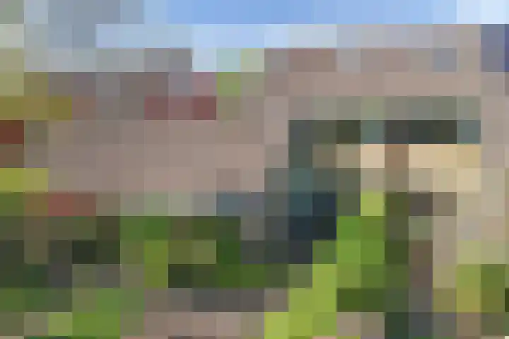 Kûperij 79 Gorredijk thumbnail 33