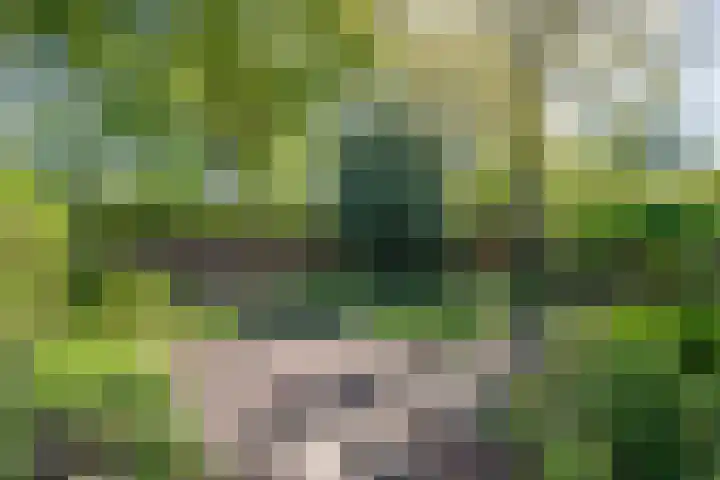Kûperij 79 Gorredijk thumbnail 5
