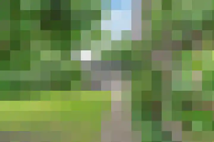 Kûperij 8 Joure thumbnail 41