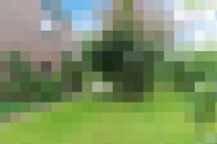 Kûperij 8 Joure thumbnail 46