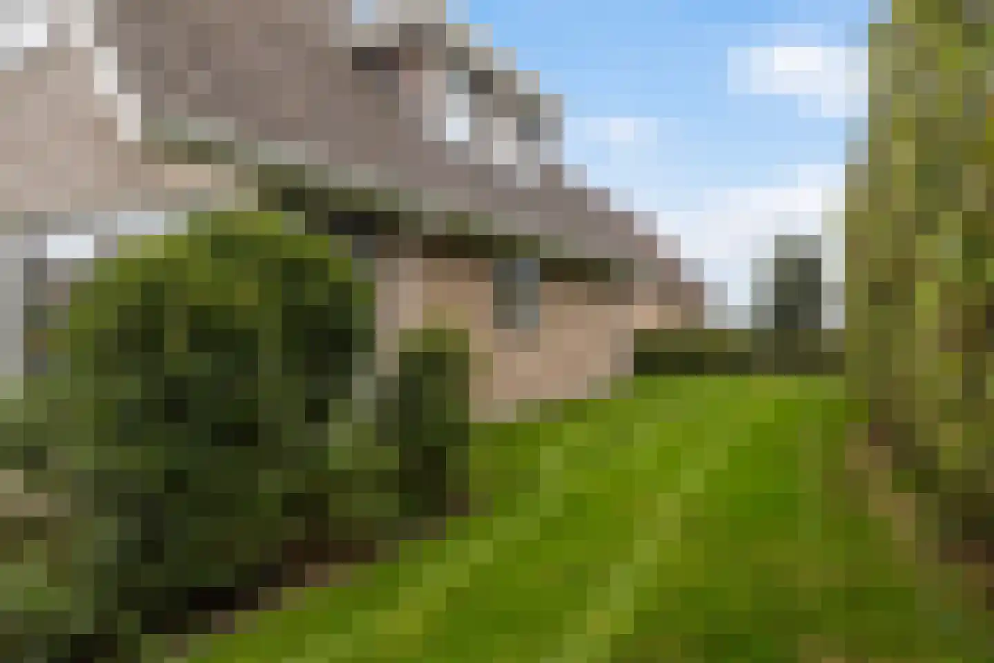 Kupersfintsje 7 Terherne thumbnail 7