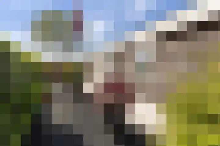 Kupersleantsje 1003 Terherne thumbnail 11