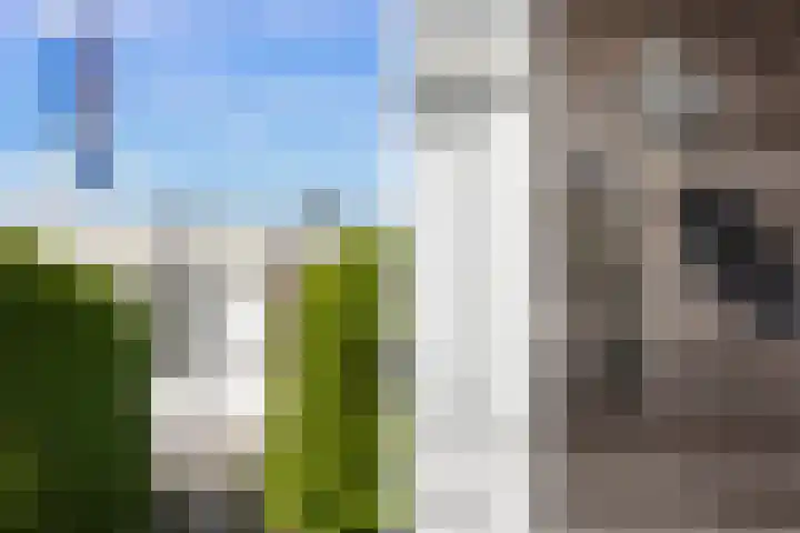 Kupersleantsje 1003 Terherne thumbnail 12