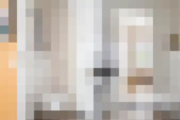 Kupersleantsje 1003 Terherne thumbnail 15