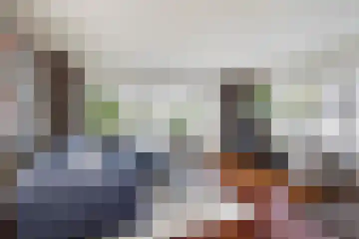 Kupersleantsje 1003 Terherne thumbnail 18